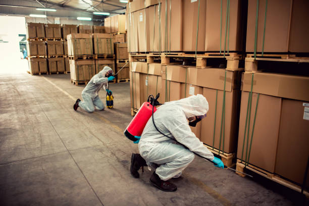 Best Best Pest Control Companies  in Minnetonka, MN