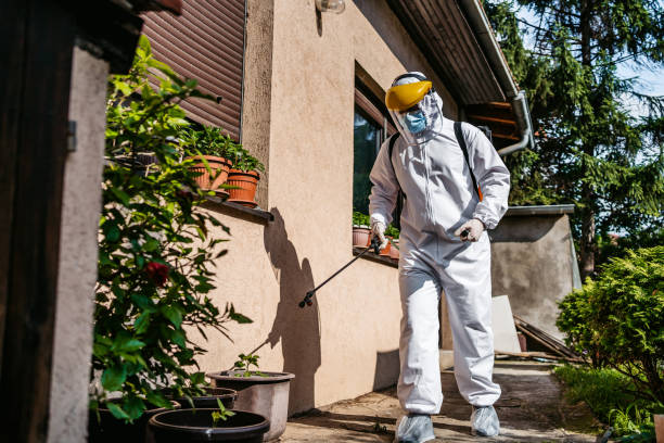 Best Affordable Pest Control Services  in Minnetonka, MN