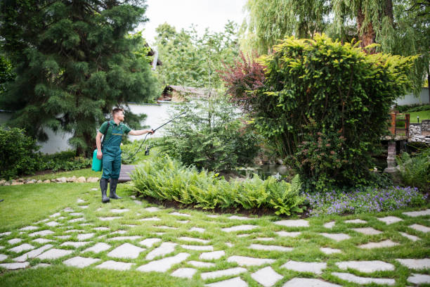 Best Best Pest Control Companies  in Minnetonka, MN