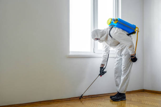 Best Bed Bug Extermination  in Minnetonka, MN
