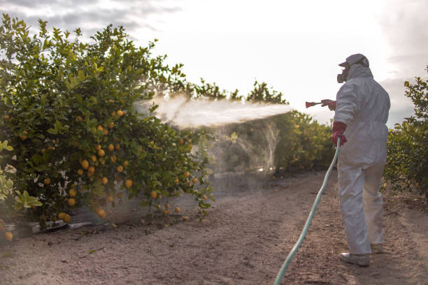 Pest Prevention Services in Minnetonka, MN