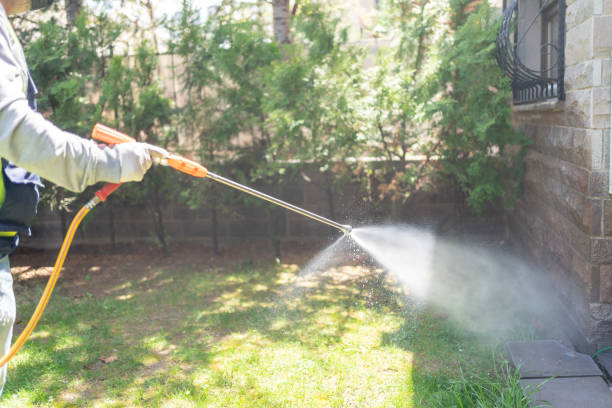 Trusted Minnetonka, MN Pest Control Experts