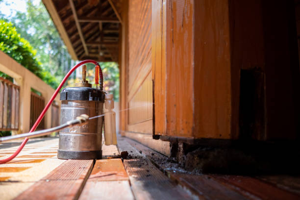 Best Pest Prevention Services  in Minnetonka, MN