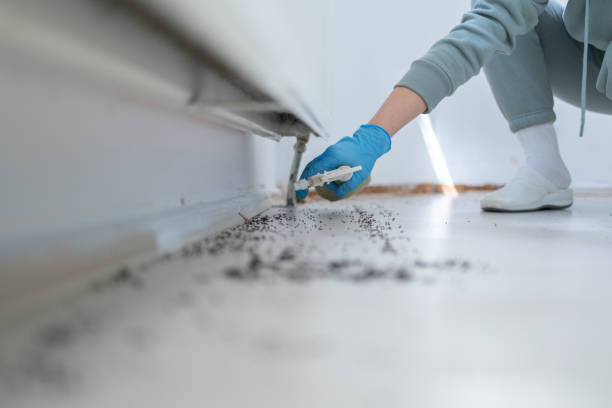 Best Commercial Pest Control Services  in Minnetonka, MN