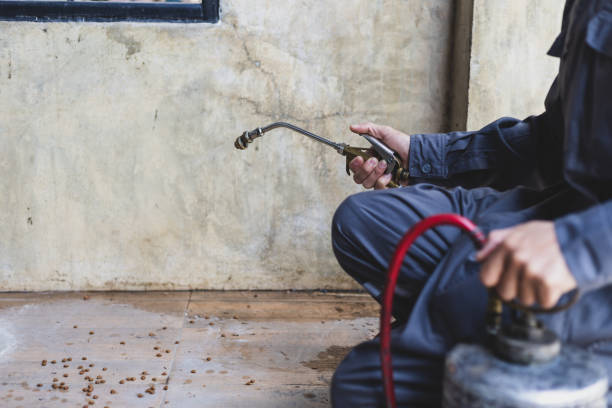Best Rat Extermination Near Me  in Minnetonka, MN